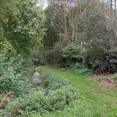 Rumah Senang Wellness Met Hottub En Tuin Ewijk Exterior photo